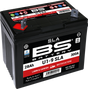 BS BATTERY Battery - U1-9 300901