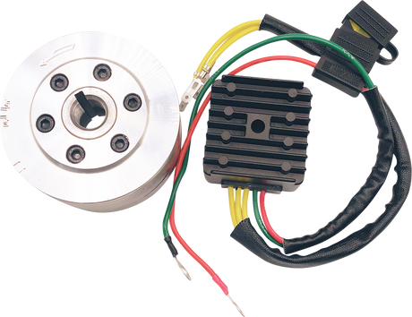 RICK'S MOTORSPORT ELECTRIC Charging Kit - Honda 99-111