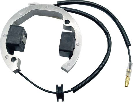 RICK'S MOTORSPORT ELECTRIC Stator - Husqvarna/KTM 21-0093