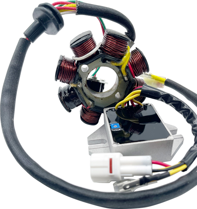 RICK'S MOTORSPORT ELECTRIC Lithium-Ion Compatible Charging Kit - Husqvarna/KTM 14-99-900H