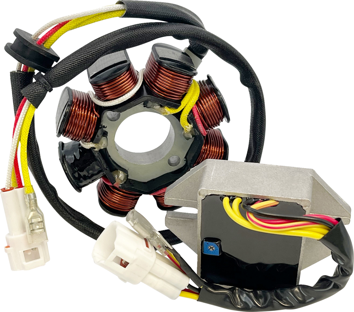 RICK'S MOTORSPORT ELECTRIC Lithium-Ion Compatible Charging Kit - KTM 14-99-902H