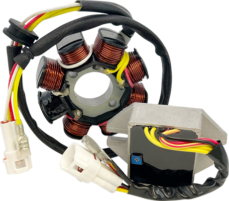 RICK'S MOTORSPORT ELECTRIC Lithium-Ion Compatible Charging Kit - KTM 14-99-902H