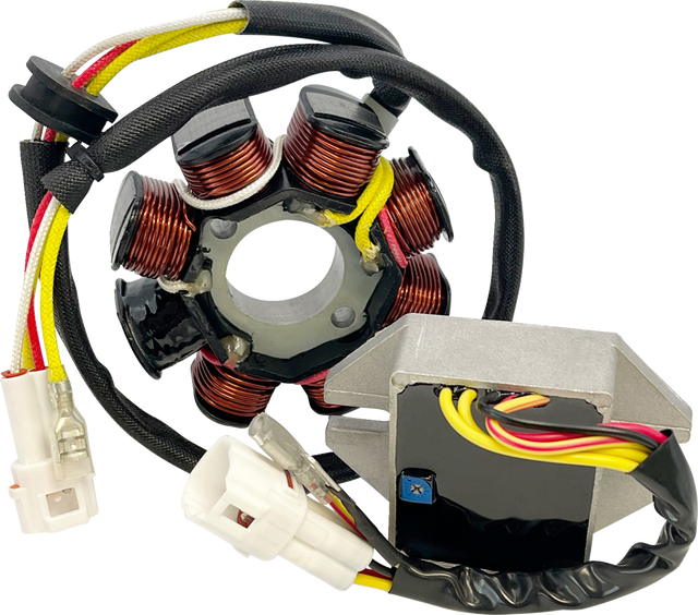 RICK'S MOTORSPORT ELECTRIC Lithium-Ion Compatible Charging Kit - KTM 14-99-902H