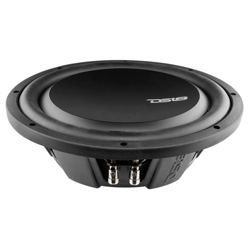 DS18 PSW12.4D 12-Inch 600W RMS Water-Resistant Shallow Mount Subwoofer for Automotive Applications