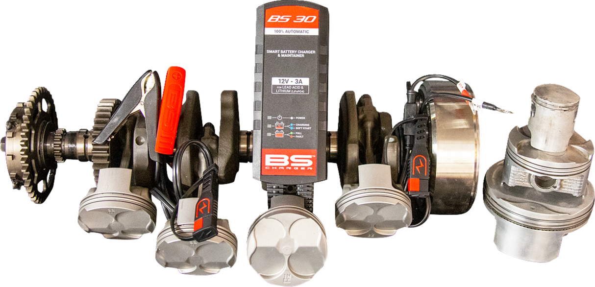 BS BATTERY Battery Charger/Maintainer - BS 30 - 12V - 3 A 700572