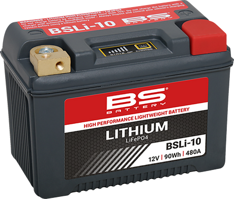 BS BATTERY Lithium Battery - BSLi-10 Max 360116