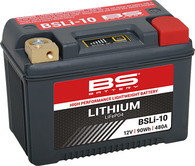 BS BATTERY Lithium Battery - BSLi-10 Max 360116
