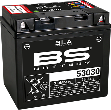 BS BATTERY Battery - 53030 300880