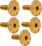 ARLEN NESS Bolt Kit - Holeshot/Front/Floating/Brake Rotor - Spoke Mount - Gold - 5 Pack 300-908