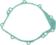 RICK'S MOTORSPORT ELECTRIC Stator Gasket - Yamaha 25-405