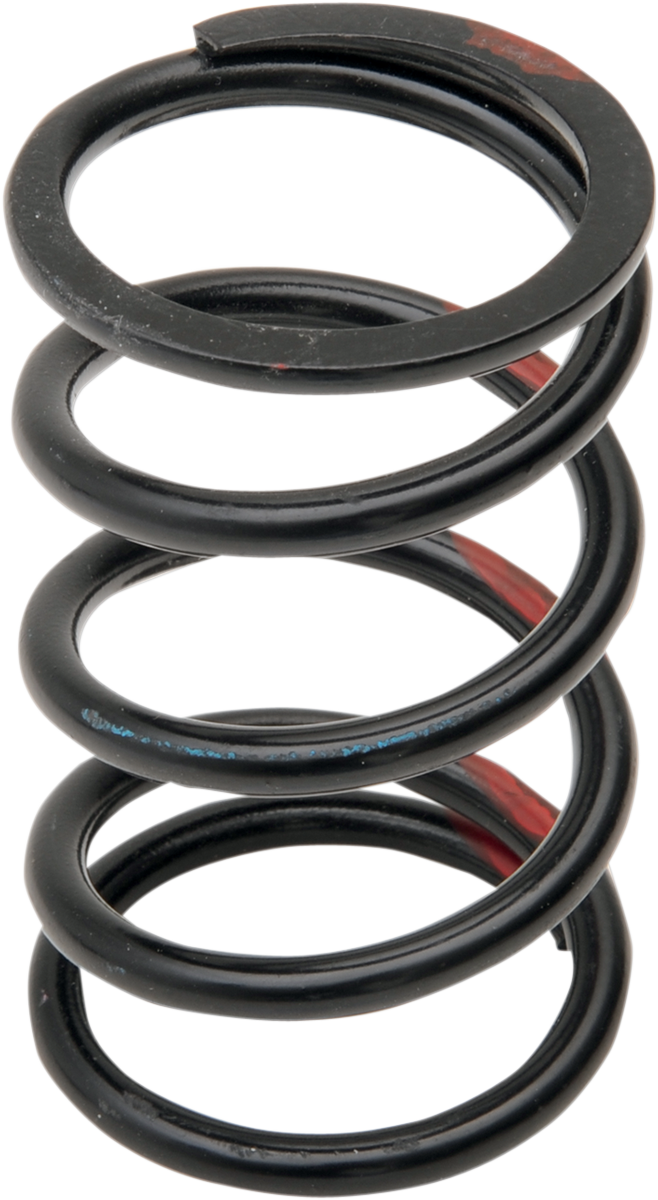 STARTING LINE PRODUCTS Primary Spring - Black/Red 40-68