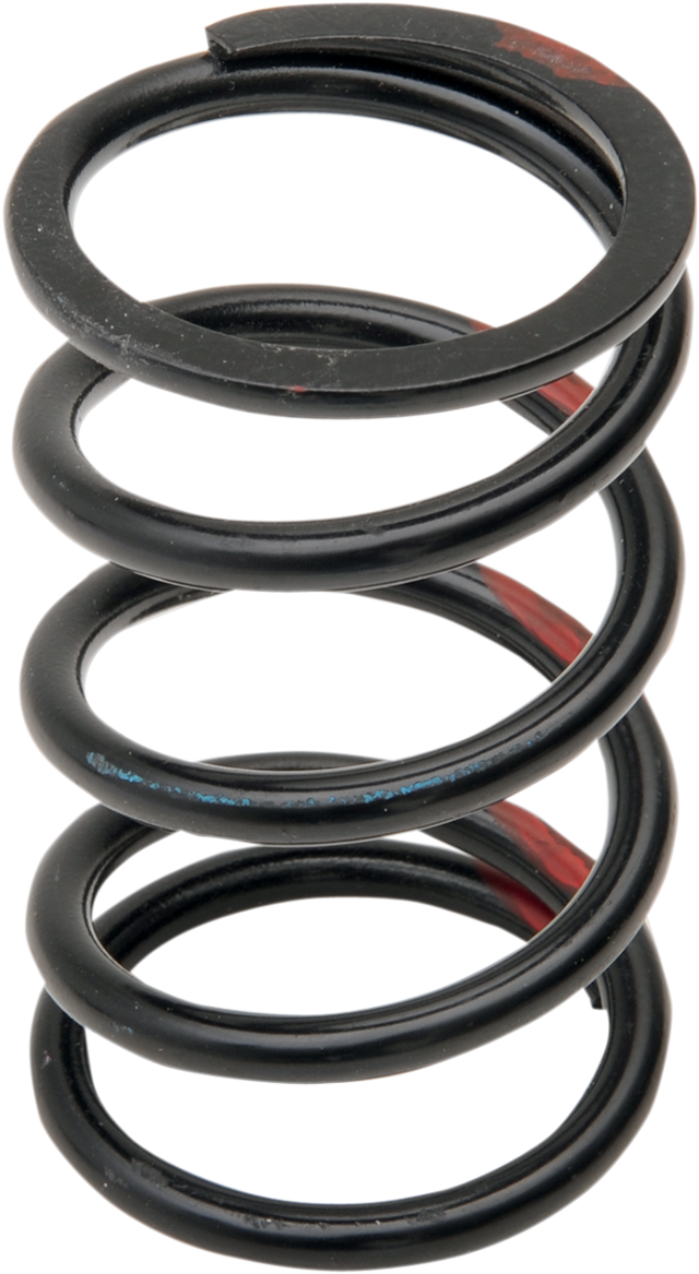 STARTING LINE PRODUCTS Primary Spring - Black/Red 40-68