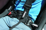 DragonFire Racing Evo Harness by DragonFire Racing Part 520761 – Comfortable Powersports Seat Belt