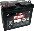 BS BATTERY Battery - U1-500 300899