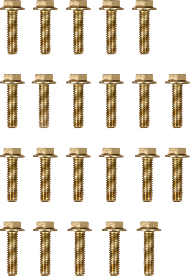 MOOSE OFFROAD Beadlock Bolts - Replacement - 544X - Pack RBYZ-8X30-109-PK