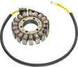 RICK'S MOTORSPORT ELECTRIC Stator - Honda 21-169