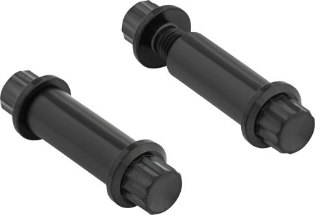 ARLEN NESS Bolt Kit - Footpeg - 12-Point - Titanium - Black 300-801