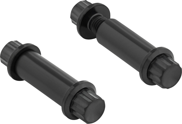 ARLEN NESS Bolt Kit - Footpeg - 12-Point - Titanium - Black 300-801