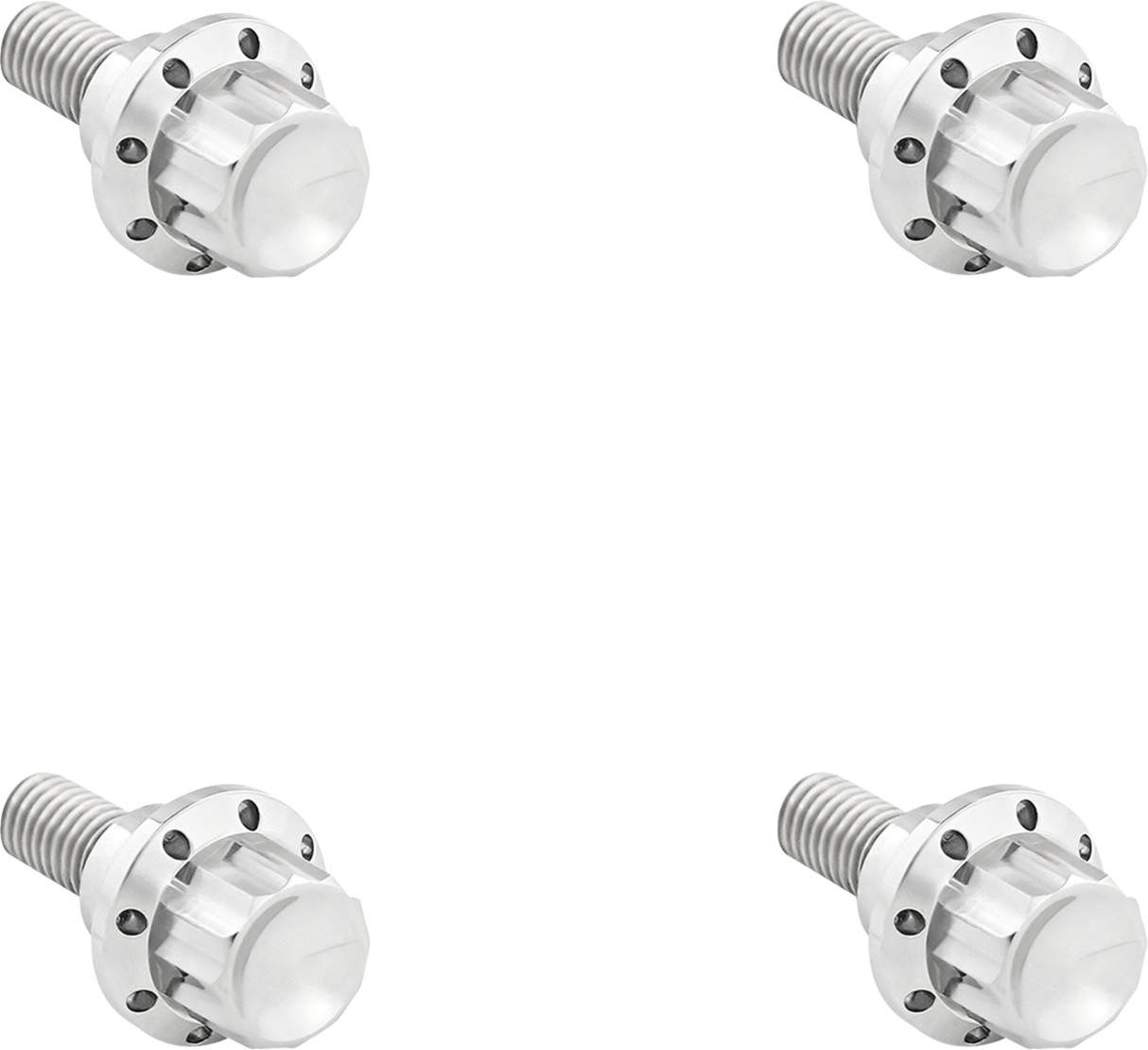 ARLEN NESS Bolt Kit - Windshield - 12-Point - Titanium - Silver 300-809