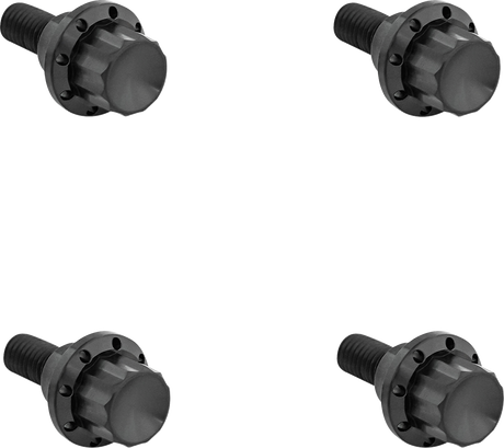 ARLEN NESS Bolt Kit - Windshield - 12-Point - Titanium - Black 300-810