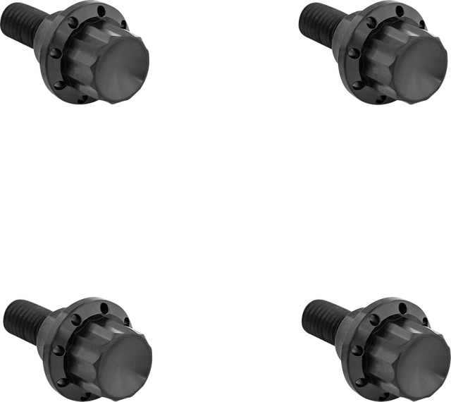 ARLEN NESS Bolt Kit - Windshield - 12-Point - Titanium - Black 300-810