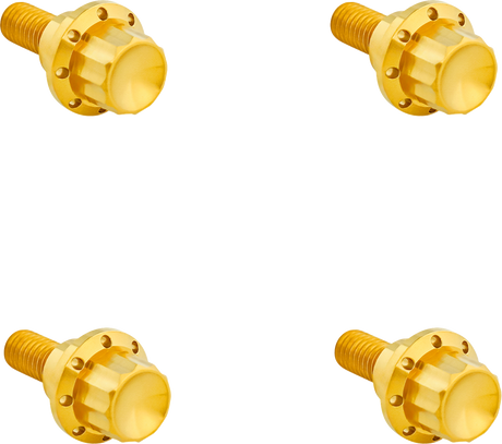 ARLEN NESS Bolt Kit - Windshield - 12-Point - Titanium - Gold 300-811