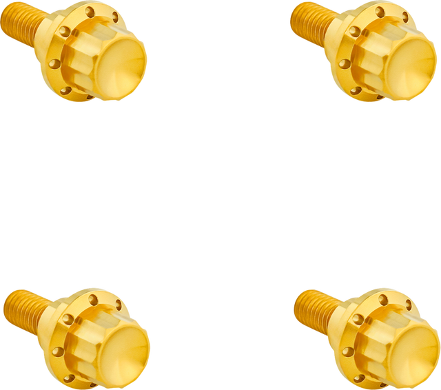 ARLEN NESS Bolt Kit - Windshield - 12-Point - Titanium - Gold 300-811