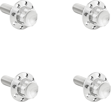 ARLEN NESS Bolt Kit - Windshield - Titanium - 12-Point - Polished 300-815