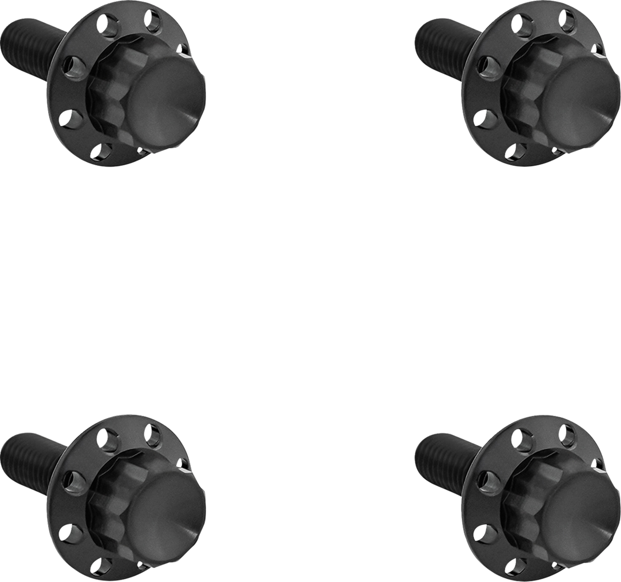 ARLEN NESS Bolt Kit - Windshield - Titanium - 12-Point - Black 300-816