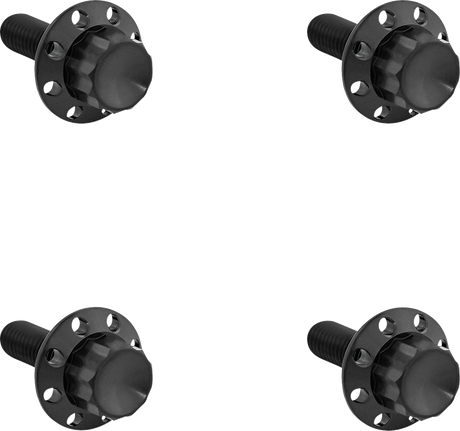 ARLEN NESS Bolt Kit - Windshield - Titanium - 12-Point - Black 300-816