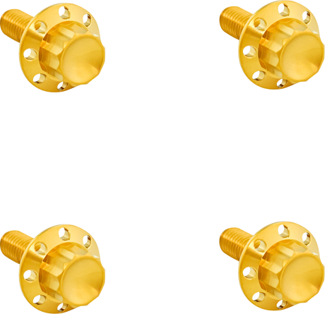 ARLEN NESS Bolt Kit - Windshield - Titanium - 12-Point - Gold 300-817