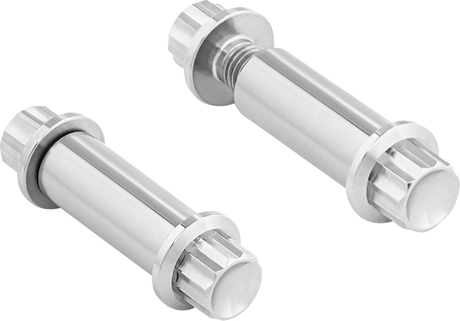 ARLEN NESS Bolt Kit - Footpeg - 12-Point - Titanium - Polish 300-800
