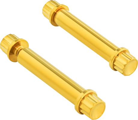 ARLEN NESS Bolt Kit - Footpeg - 12-Point - Titanium - Gold 300-805