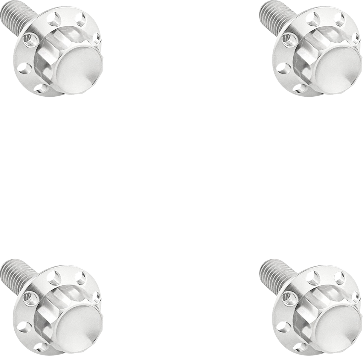 ARLEN NESS Bolt Kit - Windshield - Titanium - 12-Point - Polished 300-839