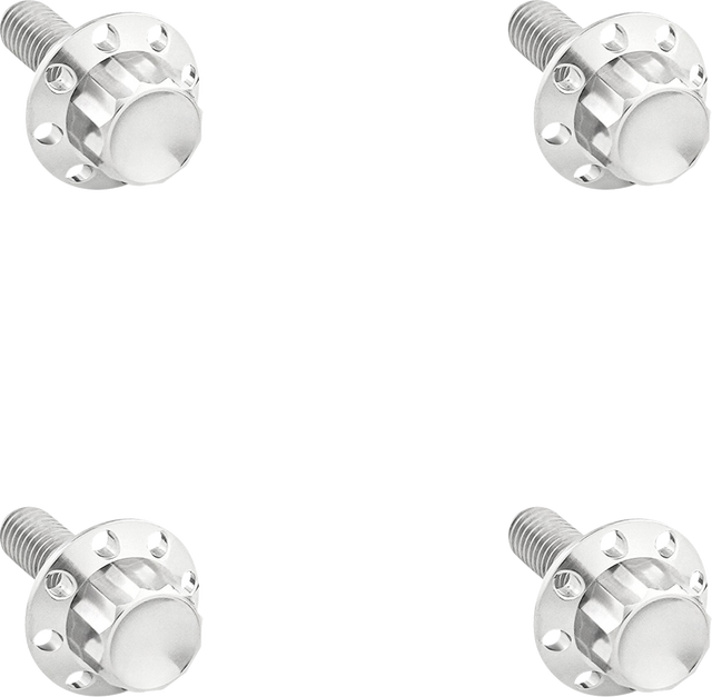 ARLEN NESS Bolt Kit - Windshield - Titanium - 12-Point - Polished 300-839