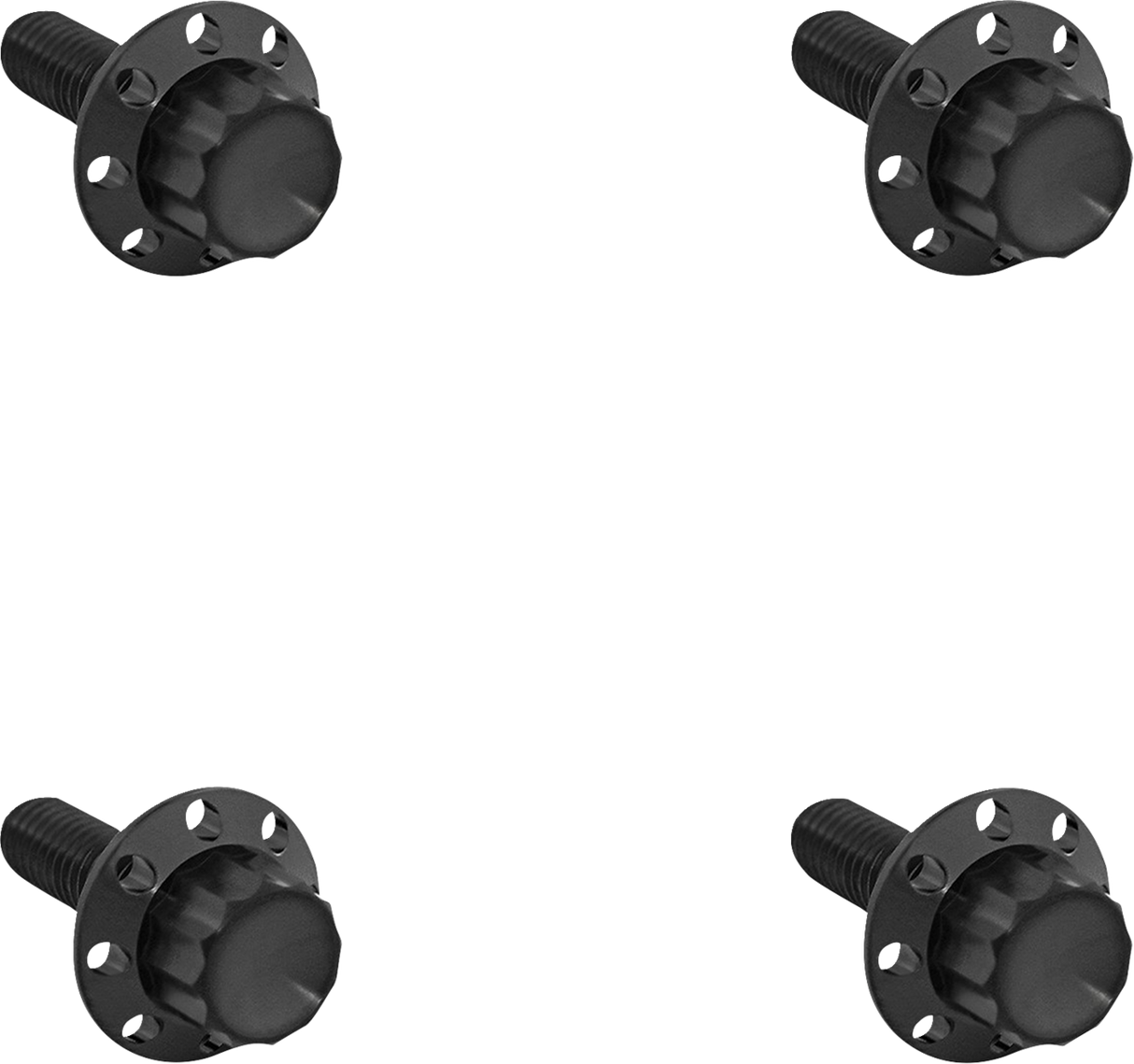 ARLEN NESS Bolt Kit - Windshield - Titanium - 12-Point - Black 300-840