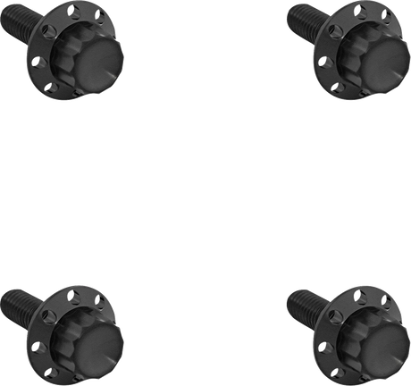 ARLEN NESS Bolt Kit - Windshield - Titanium - 12-Point - Black 300-840