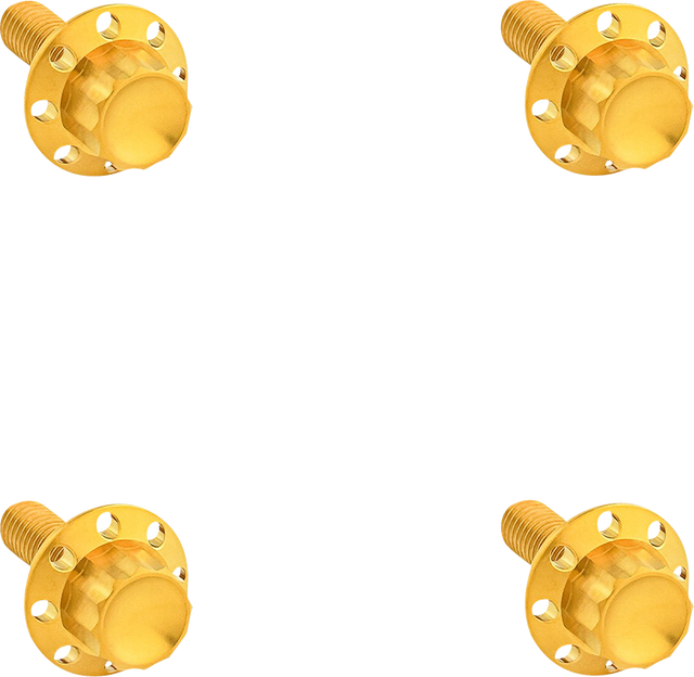 ARLEN NESS Bolt Kit - Windshield - Titanium - 12-Point - Gold 300-841