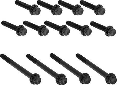 ARLEN NESS Bolt Kit - Primary Cover - Titanium - 12-Point - Twin Cam - Black 300-990