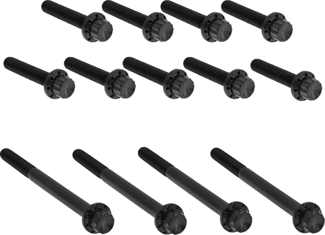 ARLEN NESS Bolt Kit - Primary Cover - Titanium - 12-Point - Twin Cam - Black 300-990