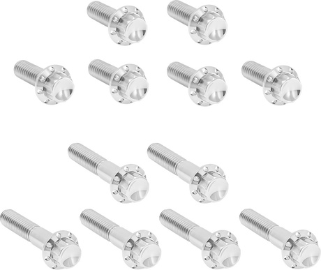 ARLEN NESS Bolt Kit - Rocker Box - 12-Point - Titanium - Polished 300-992