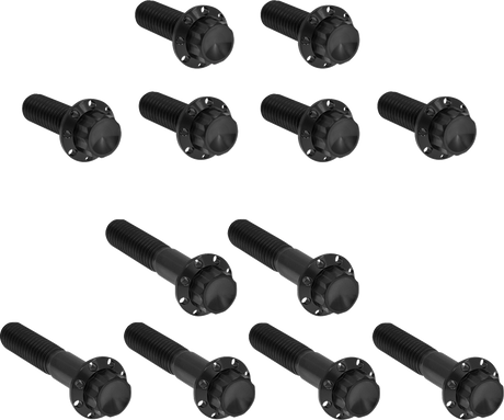 ARLEN NESS Bolt Kit - Rocker Box - 12-Point - Titanium - Black 300-993