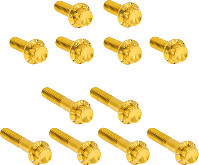 ARLEN NESS Bolt Kit - Rocker Box - 12-Point - Titanium - Gold 300-994