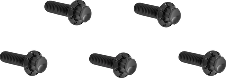 ARLEN NESS Bolt Kit - Derby Cover - 12-Point - Titanium - Black 300-924