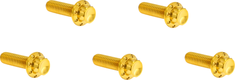 ARLEN NESS Bolt Kit - Derby Cover - 12-Point - Titanium - Gold 300-925