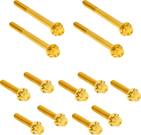 ARLEN NESS Bolt Kit - Primary Cover - Titanium - 12-Point - FLT - Gold 300-928