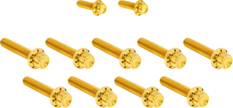 ARLEN NESS Bolt Kit - Cam Cover/Point Cover - Titanium - 12-Point - Gold 300-934