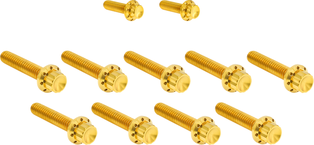 ARLEN NESS Bolt Kit - Cam Cover/Point Cover - Titanium - 12-Point - Gold 300-934