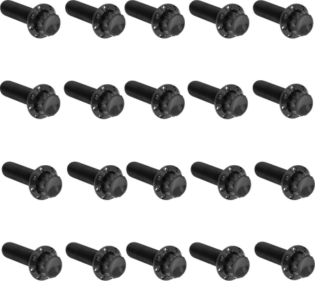 ARLEN NESS Bolt Kit - Rocker Box - 12-Point - Titanium - Black 300-945