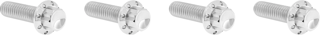 ARLEN NESS Bolt Kit - Transmission Top Cover - 12-Point - Titanium - Polished 300-977